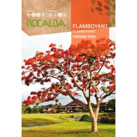 ROCALBA Pillangófa 1g