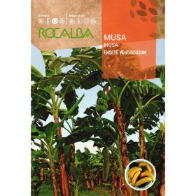 ROCALBA Banán 2 szem