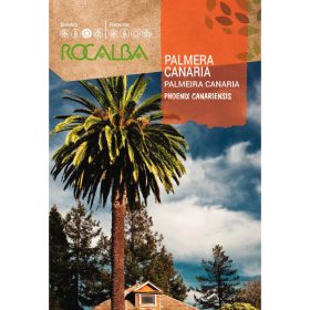ROCALBA Kanári datolyapálma 10g