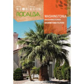 ROCALBA Washington pálma 1g