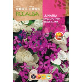 ROCALBA Holdviola 6g