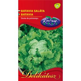 Kertimag Batavia Saláta Dorée de printemps 2g