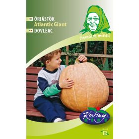 Kertimag Óriástök Atlantic Giant 6 szem