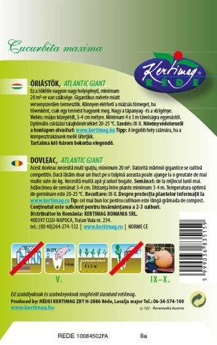 Kertimag Óriástök Atlantic Giant 6 szem