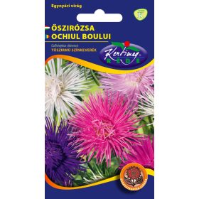 Kertimag Őszírózsa Tűszirmú Színkeverék 1g
