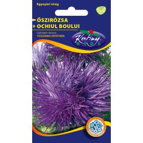 Kertimag Őszírózsa Tűszirmú Sötétkék 1g