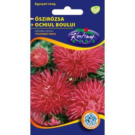 Kertimag Őszírózsa Tűszirmú Piros 1g