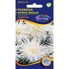 Kertimag Őszírózsa Tűszirmú Fehér 1g