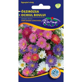 Kertimag Őszírózsa Törpe Bokros Színkeverék 1g