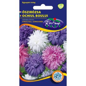 Kertimag Őszírózsa Strucctoll Színkeverék 1g