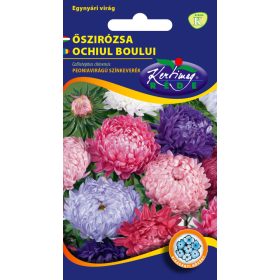 Kertimag Őszírózsa Peoniavirágú Színkeverék 1g