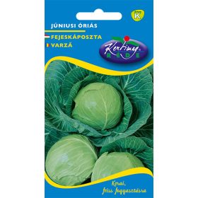 Kertimag Fejeskáposzta Júniusi Óriás 2g