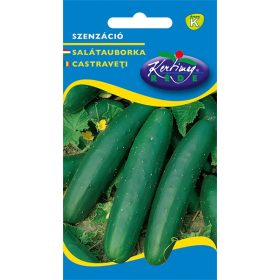 Kertimag Uborka Szenzáció 2g