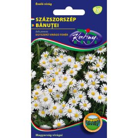 Kertimag Százszorszép egyszerű virágú fehér 0,25g