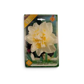 Virághagyma Narcissus Double White Lion 5 db
