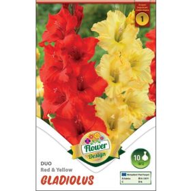 Virághagyma Gladiolus Duo Red & Yellow 10db