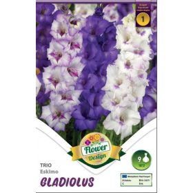 Virághagyma Gladiolus Trio Eskimo 9db