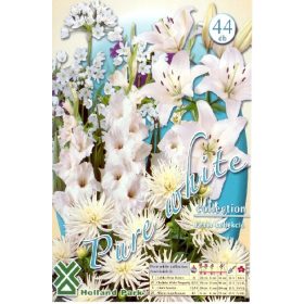 Virághagyma Pure White kollekció  44db