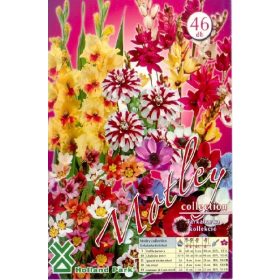 Virághagyma Matley kollekció  46db