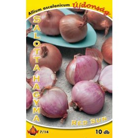 Dughagyma Salotta hagyma Red Sun 10db