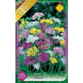 Virághagyma Allium  mixed  25db
