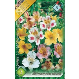 Virághagyma Alstroemeria mixed  3db
