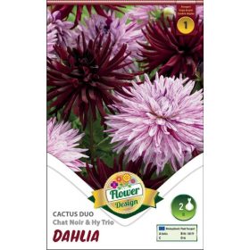 Virághagyma Dahlia Cactus Duo Chat Noir &Hy Trio 2db