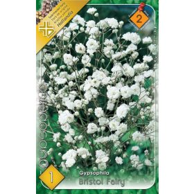 Virághagyma Gypsophila Bristol Fairy  1db
