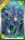 Virághagyma Iris Hollandica Blue Magic 10db