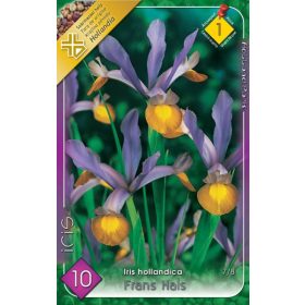 Virághagyma Iris Hollandica Frans Hals 10db