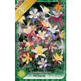 Virághagyma Aquilegia hybrid McKana 3db