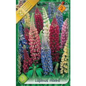 Virághagyma Lupinus mixed  3db