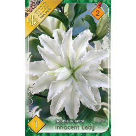Virághagyma Lilium Double oriental Innocent Lady 1db