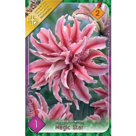 Virághagyma Lilium Double oriental Magic Star 1db