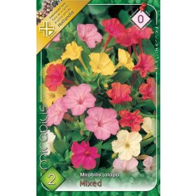 Virághagyma Mirabilis jalapa mixed 2db