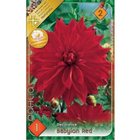 Virághagyma Dahlia Decorative Babylon Red 1db