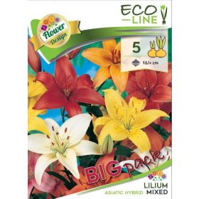Virághagyma Lilium Asiatic Hybrid mixed 5db