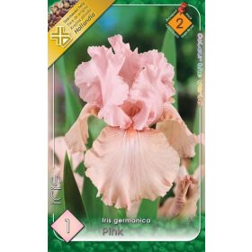 Virághagyma Iris Germanica Pink 1db