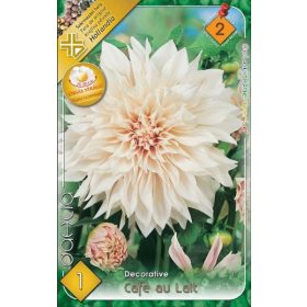 Virághagyma Dahlia Decorative Cafe au Lait 1db