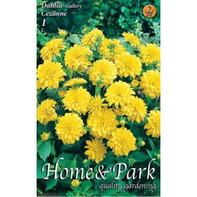 Virághagyma Dahlia Gallery Cezanne 1db