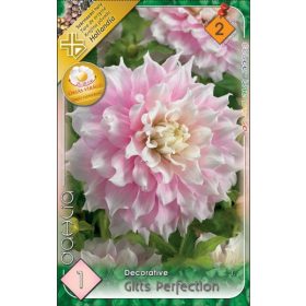 Virághagyma Dahlia Decorative Gitts Perfection 1db