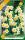 Virághagyma Narcissus Botanical Minnow 10 db