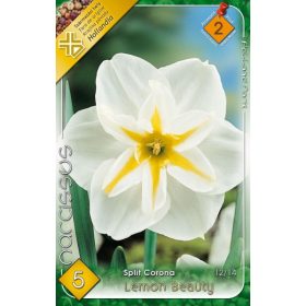 Virághagyma Narcissus Split Cororna Lemon Beauty 5 db