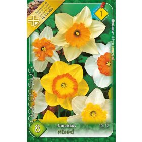 Virághagyma Narcissus Mixed  8 db