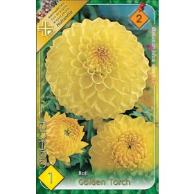 Virághagyma Dahlia Ball Golden Torch 1db