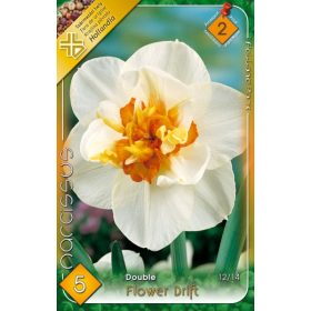 Virághagyma Narcissus Double Flower Drift 5 db