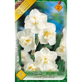 Virághagyma Narcissus Double Cheerfulness 5 db