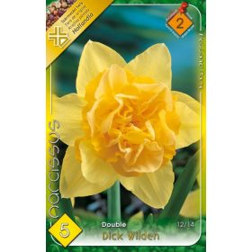 Virághagyma Narcissus Double Dick Wilden 5 db