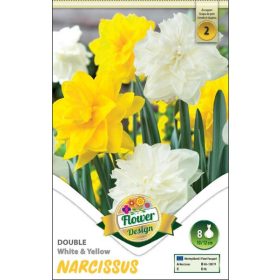 Virághagyma Narcissus Double White & Yellow 8 db