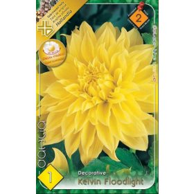 Virághagyma Dahlia Decorative Kelvin Floodlight 1db